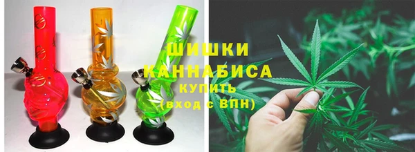 индика Бугульма