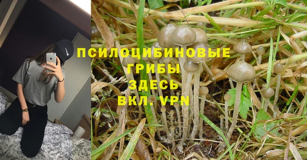 МДПВ Богородицк