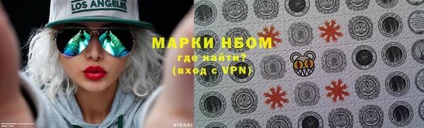 индика Бугульма