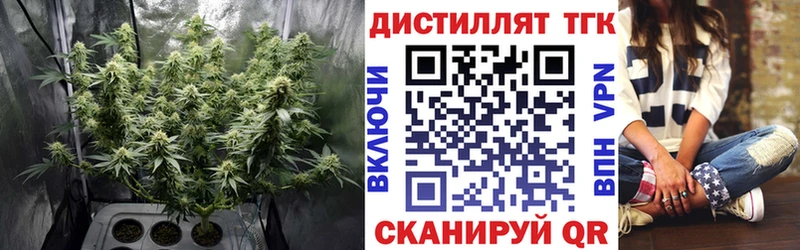 ТГК вейп  Купить  Невельск 